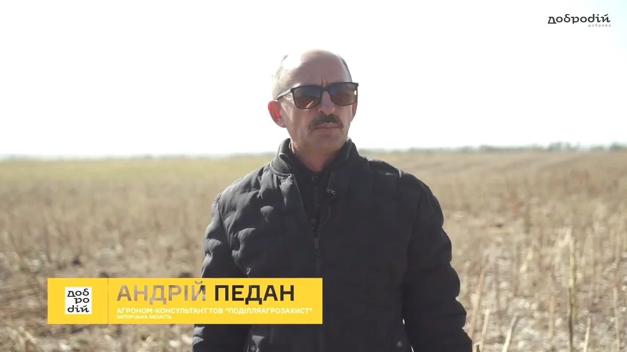 Обробка насіння ДоброДІЄМ – це вже аксіома!