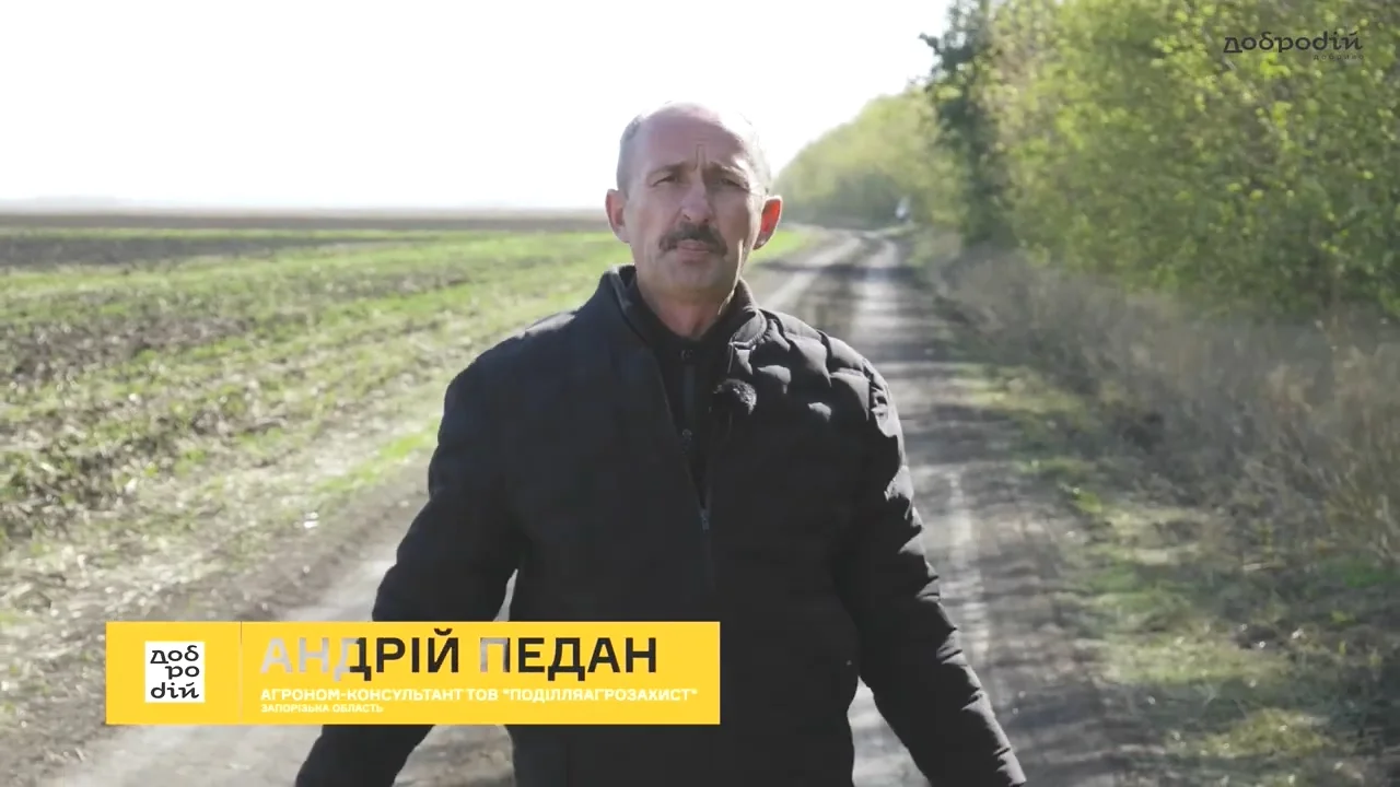 Зерно першого класу – це не казка – Добриво Добродій