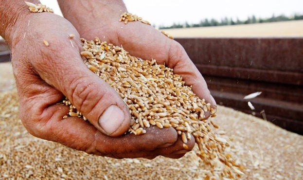 Нові експортні шляхи українського зерна