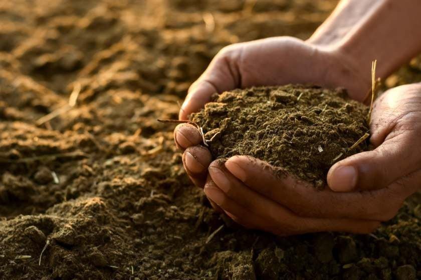 Через рекордний врожай 2021, українські ґрунти потребують поживи