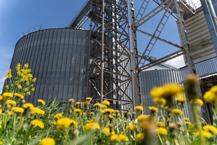 Чи грозить Україні дефіцит складів для зберігання зерна?