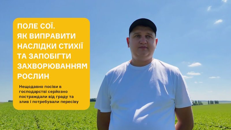 Поле сої. Як виправити наслідки стихії і запобігти захворюванням рослин