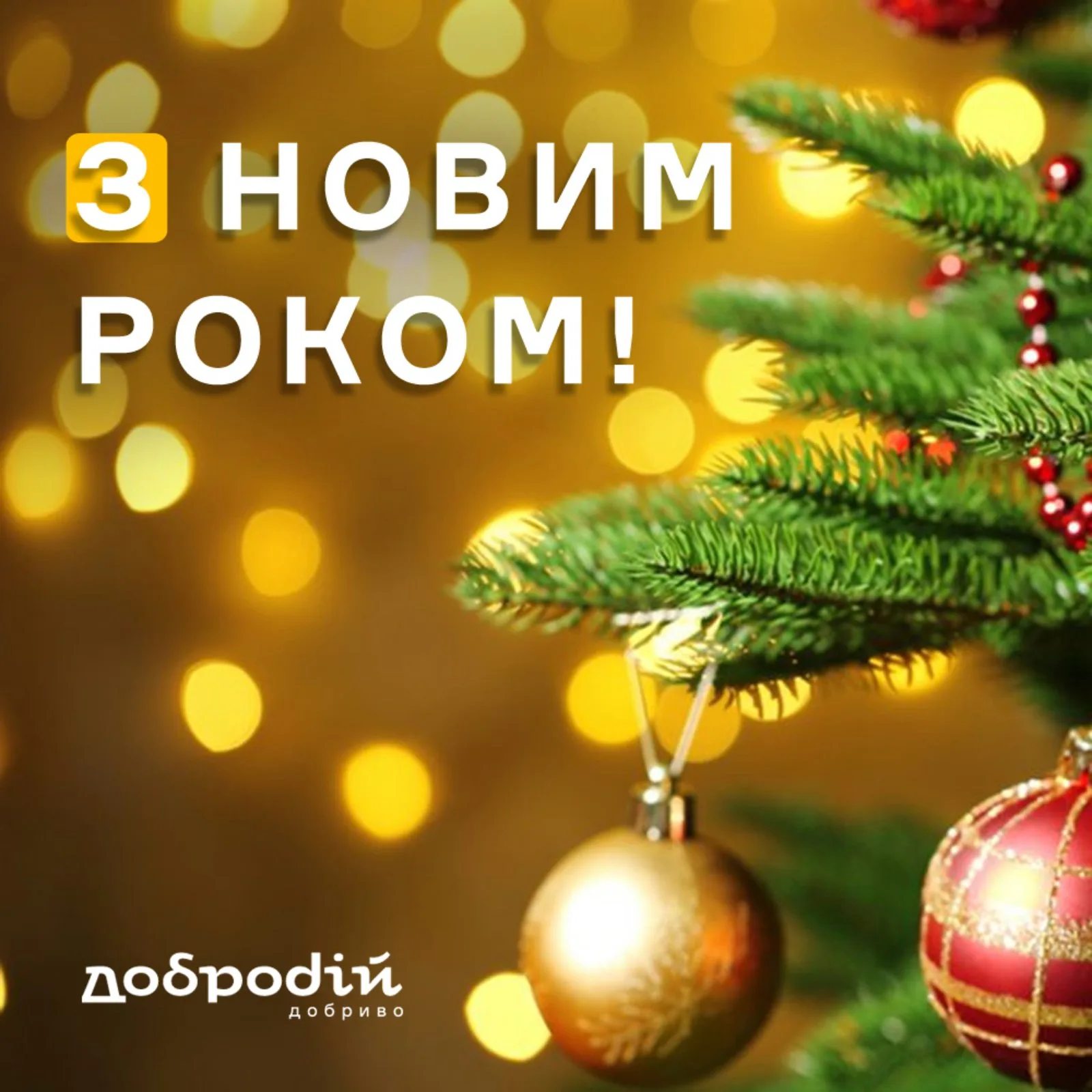 З Новим 2025 Роком!