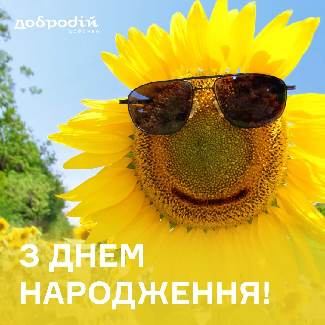 Шановний Олександр Володимирович!